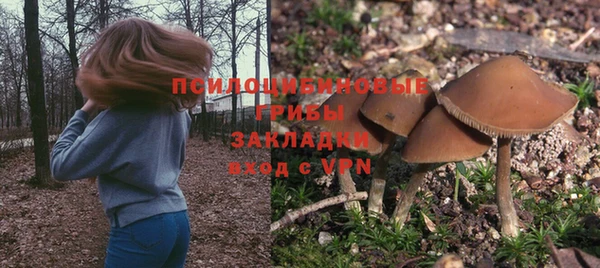 тгк Абдулино