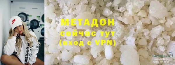 прущие грибы Абаза