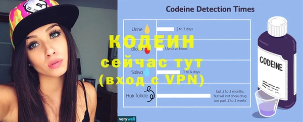 прущие грибы Абаза