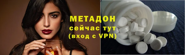 прущие грибы Абаза