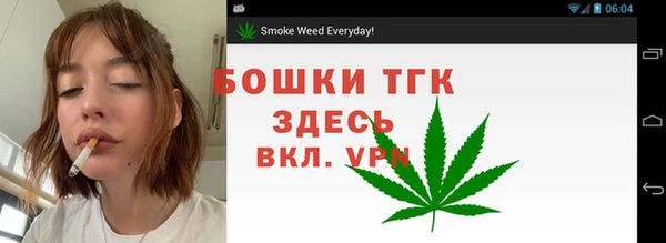 прущие грибы Абаза