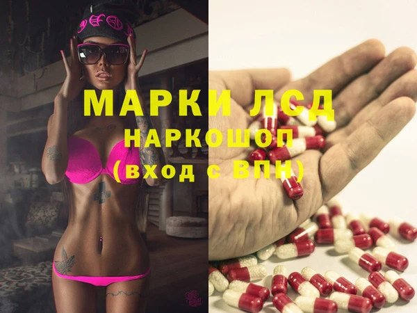 прущие грибы Абаза