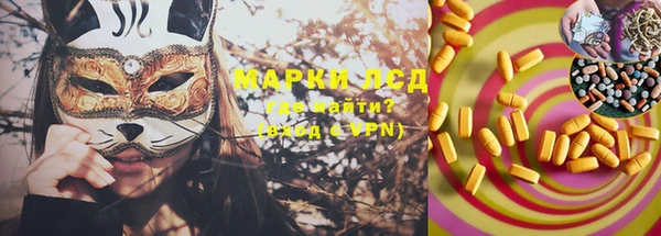 мет Алексин