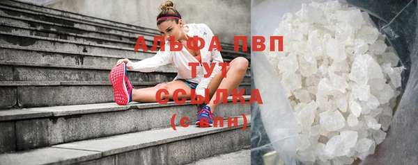 сатива Покровск