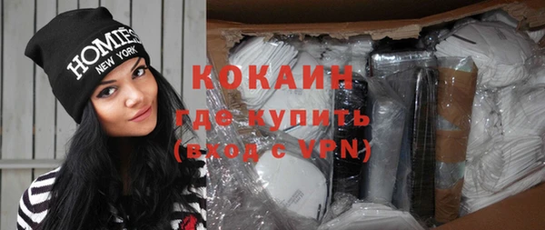 прущие грибы Абаза